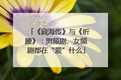 《藏海传》与《折腰》：男频剧、女频剧都在“爱”什么