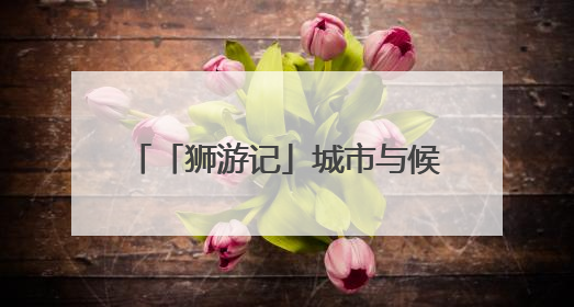 「狮游记」城市与候鸟的生态共生传奇
