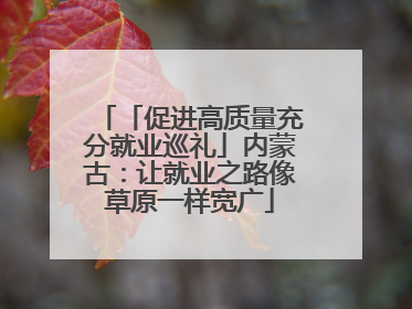 「促进高质量充分就业巡礼」内蒙古：让就业之路像草原一样宽广