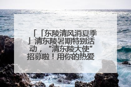 「东陵清风消夏季」清东陵暑期特别活动，“清东陵大使”招募啦！用你的热爱守护世界遗产！