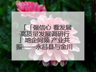 「强信心 看发展·高质量发展调研行」地企同频 产业共振——永昌县与金川集团地企融合推动重大项目建设