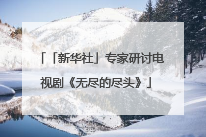 「新华社」专家研讨电视剧《无尽的尽头》