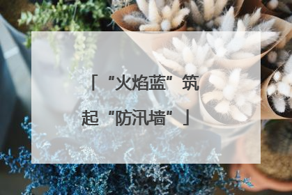 “火焰蓝”筑起“防汛墙”