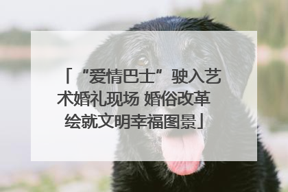 “爱情巴士”驶入艺术婚礼现场 婚俗改革绘就文明幸福图景