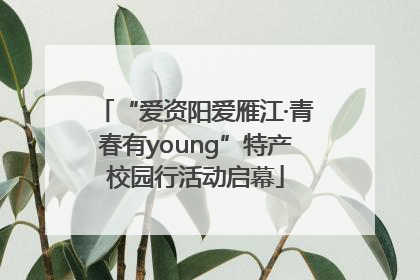 “爱资阳爱雁江·青春有young”特产校园行活动启幕