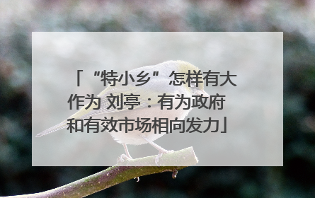 “特小乡”怎样有大作为 刘亭：有为政府和有效市场相向发力