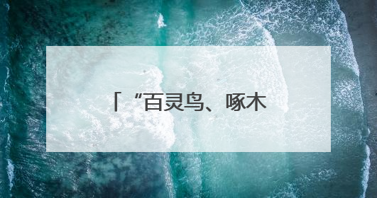 “百灵鸟、啄木鸟、织布鸟”，为仙居县域发展注入“新”动能