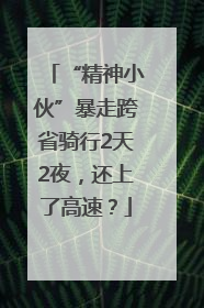 “精神小伙”暴走跨省骑行2天2夜，还上了高速？