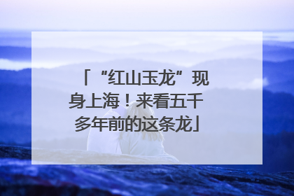 “红山玉龙”现身上海！来看五千多年前的这条龙