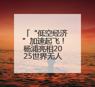“低空经济”加速起飞！杨浦亮相2025世界无人机大会