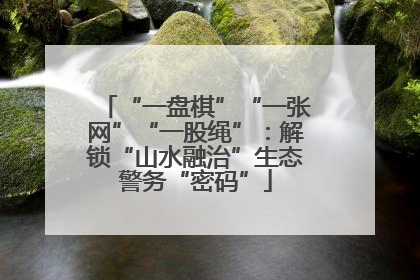 “一盘棋”“一张网”“一股绳”：解锁“山水融治”生态警务“密码”