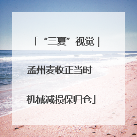 “三夏”视觉｜孟州麦收正当时 机械减损保归仓