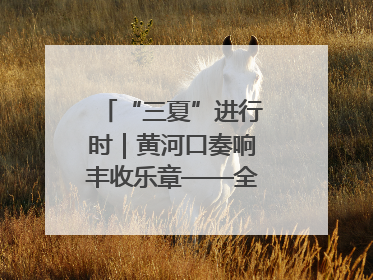 “三夏”进行时｜黄河口奏响丰收乐章——全市小麦进入大面积收获高峰期
