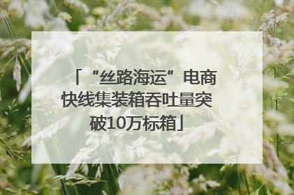 “丝路海运”电商快线集装箱吞吐量突破10万标箱