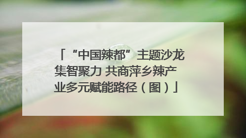 “中国辣都”主题沙龙集智聚力 共商萍乡辣产业多元赋能路径（图）