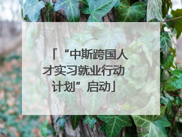 “中斯跨国人才实习就业行动计划”启动