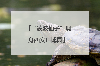 “凌波仙子”现身西安世博园