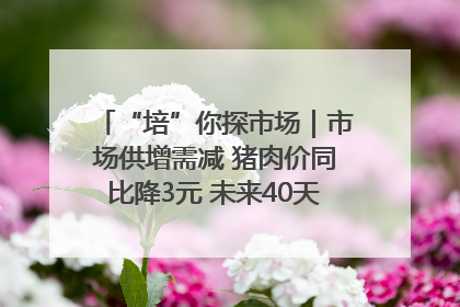 “培”你探市场｜市场供增需减 猪肉价同比降3元 未来40天便宜猪肉敞开吃