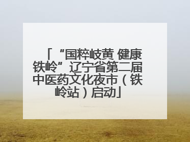 “国粹岐黄 健康铁岭”辽宁省第二届中医药文化夜市（铁岭站）启动