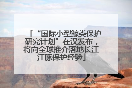 “国际小型鲸类保护研究计划”在汉发布，将向全球推介落地长江江豚保护经验