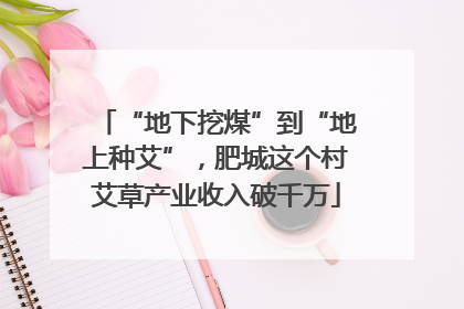 “地下挖煤”到“地上种艾”，肥城这个村艾草产业收入破千万