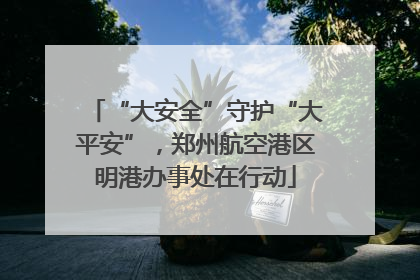 “大安全”守护“大平安”，郑州航空港区明港办事处在行动