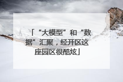 “大模型”和“数据”汇聚，经开区这座园区很酷炫