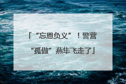 “忘恩负义”！警营“孤傲”燕隼飞走了
