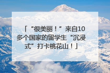“很美丽！”来自10多个国家的留学生“沉浸式”打卡桃花山！