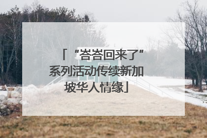 “峇峇回来了”系列活动传续新加坡华人情缘