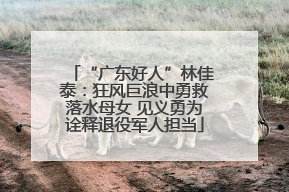 “广东好人”林佳泰：狂风巨浪中勇救落水母女 见义勇为诠释退役军人担当