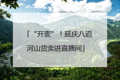 “开麦”！延庆八道河山货卖进直播间