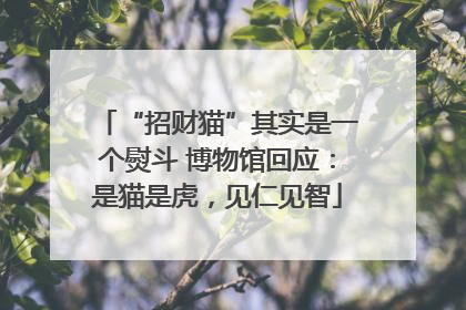 “招财猫”其实是一个熨斗 博物馆回应：是猫是虎，见仁见智