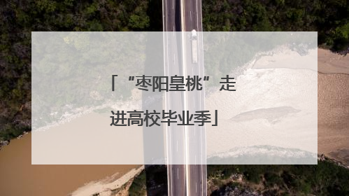 “枣阳皇桃”走进高校毕业季