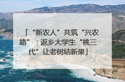 “新农人”共筑“兴农路”：返乡大学生“桃三代”让老树结新果