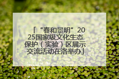 “春和景明”2025国家级文化生态保护（实验）区展示交流活动在洛举办
