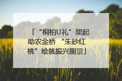 “桐柏U礼”架起助农金桥 “朱砂红桃”绘就振兴图景