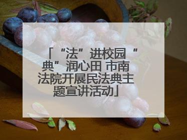 “法”进校园“典”润心田 市南法院开展民法典主题宣讲活动
