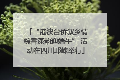 “港澳台侨叙乡情 粽香漆韵迎端午” 活动在四川邛崃举行
