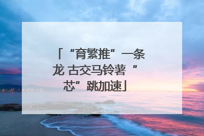 “育繁推”一条龙 古交马铃薯“芯”跳加速