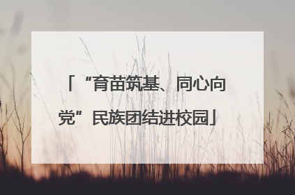 “育苗筑基、同心向党”民族团结进校园
