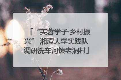 “芙蓉学子·乡村振兴” 湘潭大学实践队调研洗车河镇老洞村