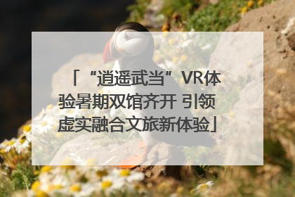 “逍遥武当”VR体验暑期双馆齐开 引领虚实融合文旅新体验
