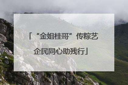 “金姐桂哥”传粽艺 企民同心助残行