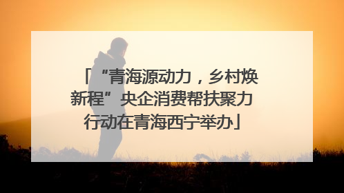 “青海源动力，乡村焕新程”央企消费帮扶聚力行动在青海西宁举办