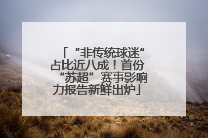 “非传统球迷”占比近八成！首份“苏超”赛事影响力报告新鲜出炉
