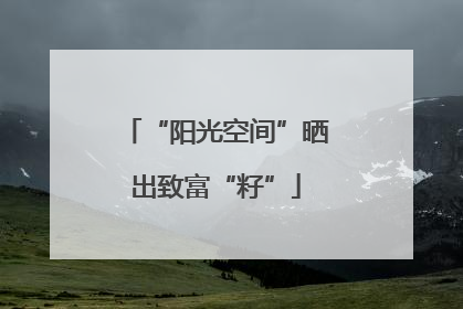 “阳光空间”晒出致富“籽”