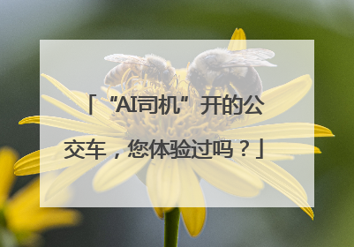 “AI司机”开的公交车，您体验过吗？