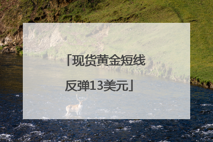 现货黄金短线反弹13美元