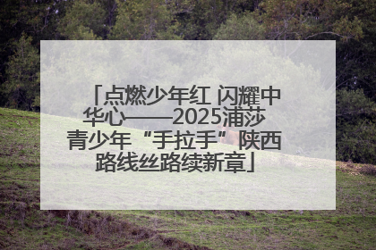 点燃少年红 闪耀中华心——2025浦莎青少年“手拉手”陕西路线丝路续新章
